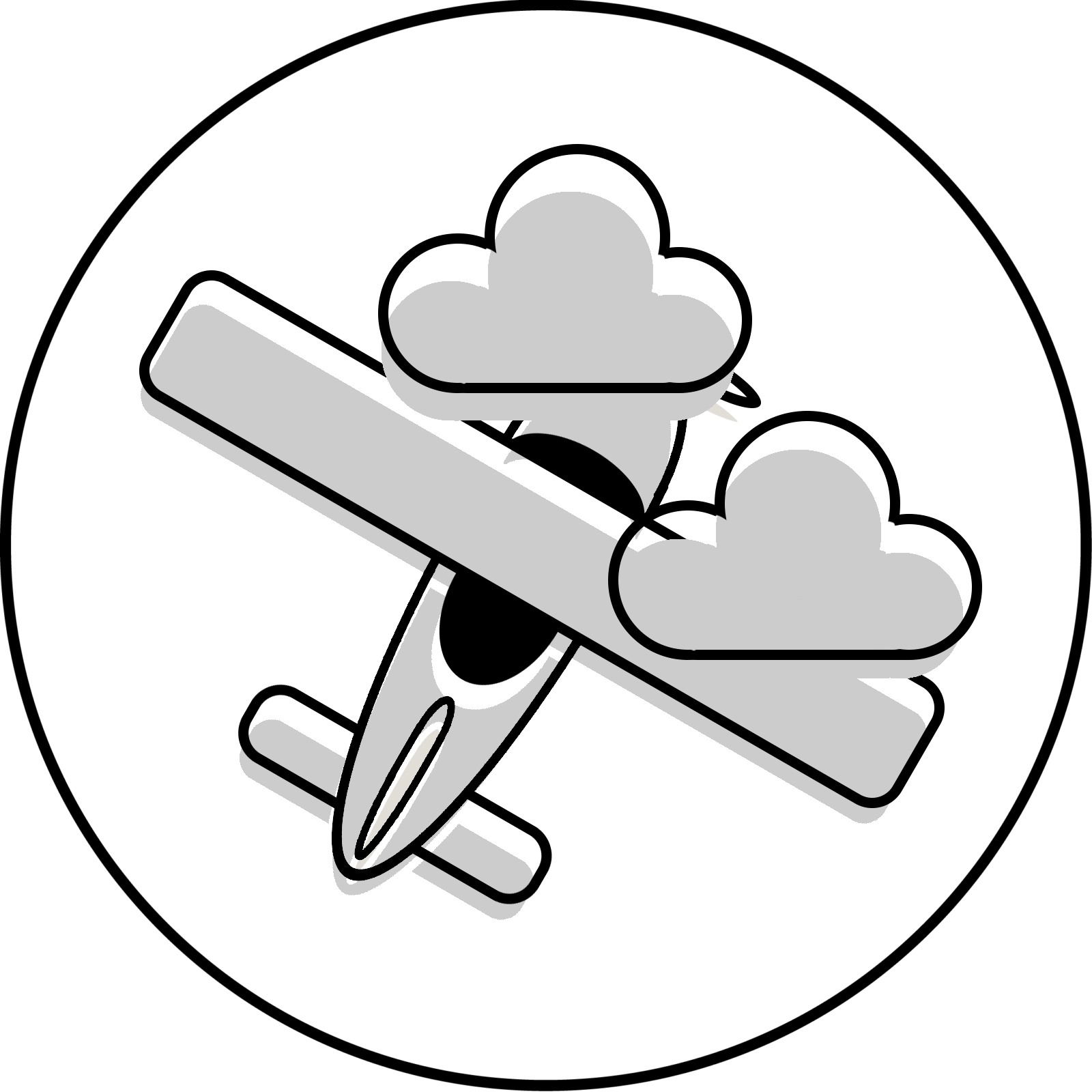Fast Flight Training
